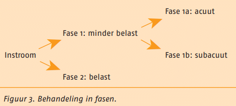 meniscectomie therapeutisch-proces fasering-doelen-en-verrichtingen figuur 3