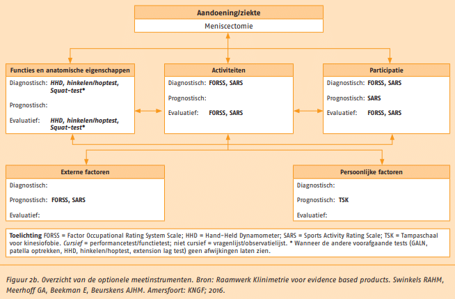 meniscectomie diagnostisch-proces meetinstrumenten. Figuur 2b: Optionele meetinstrumenten